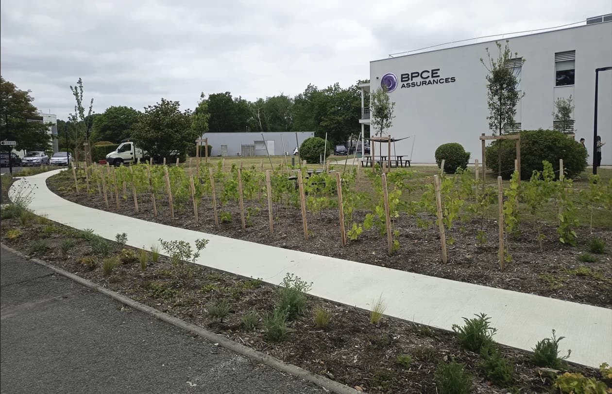 BPCE — Martillac