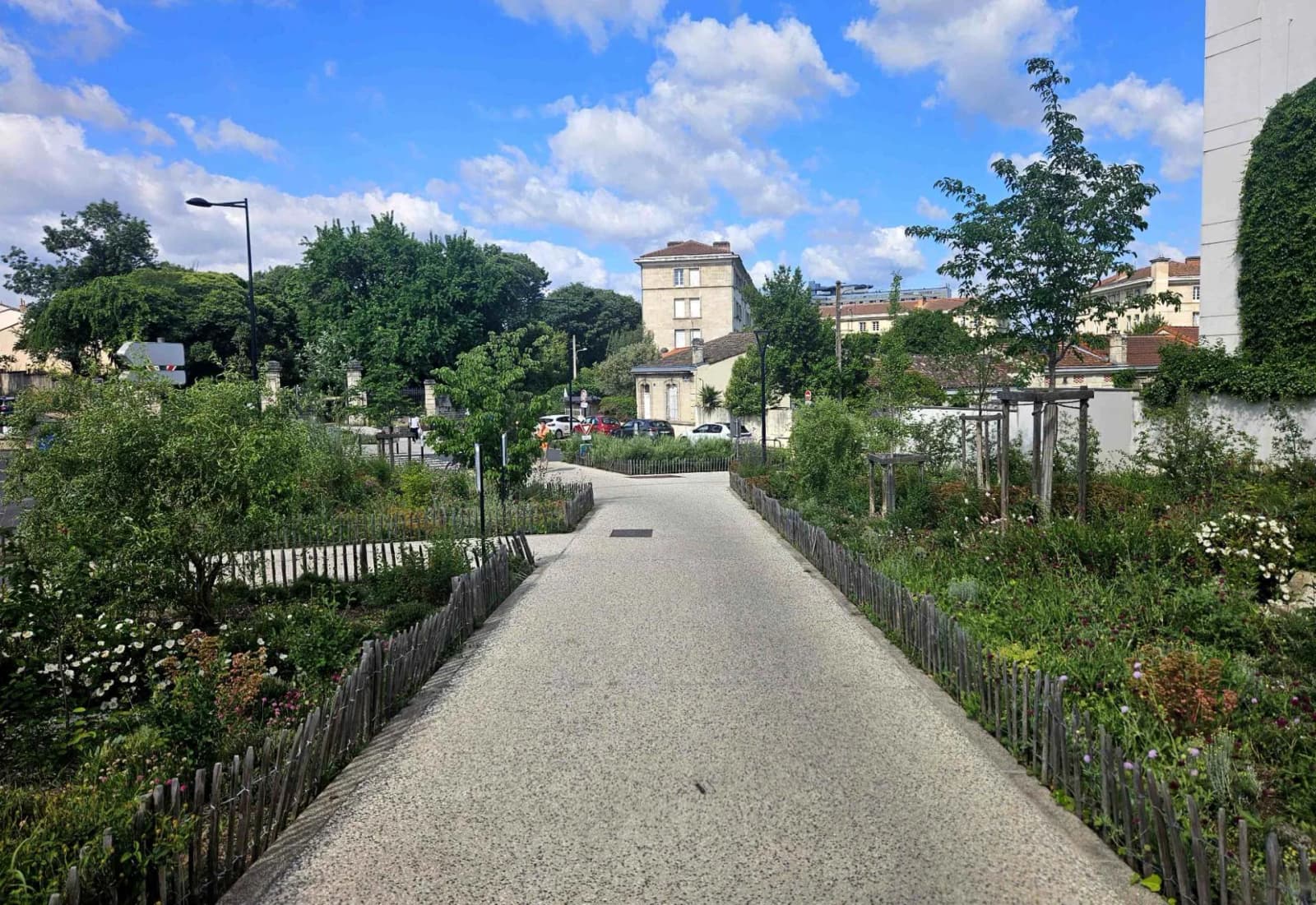 Rue Léo Saignat — Bordeaux — photo 3