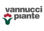 Vannucci Plante