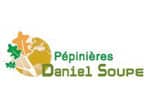 Daniel Soupe