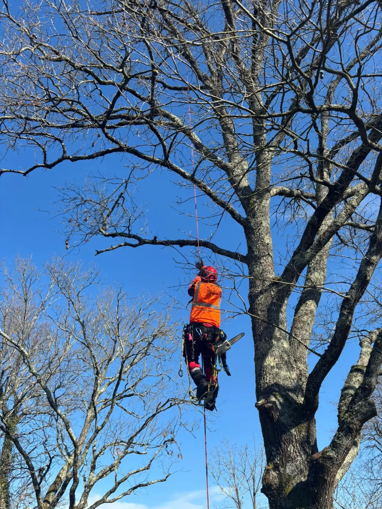 EPA — élagage & arboriculture en Nouvelle-Aquitaine